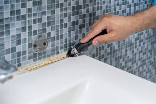 Best Emergency Mold Remediation in Charlevoix, MI